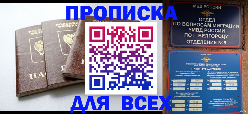 прописка в Щёкино